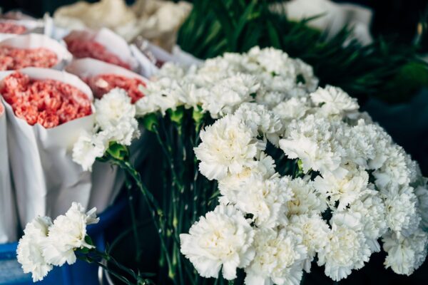 Beyond A/B: Holistic CRO For Authentic Growth