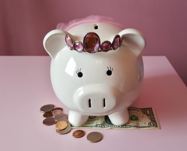Beyond Spreadsheets: Cultivating Thriving Investment Portfolios