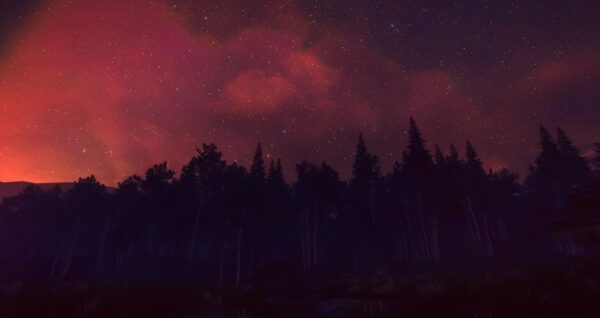 Beyond JPEG Hype: Coin-Backed NFTs Unlock Real Value