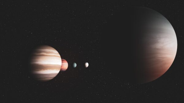 NFT Marketplaces: Beyond JPEGs, Towards Utility?