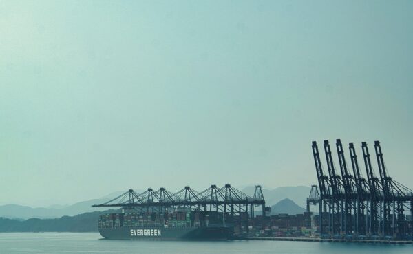 Crypto Trading: Decoding Whale Moves, Predicting Market Shifts