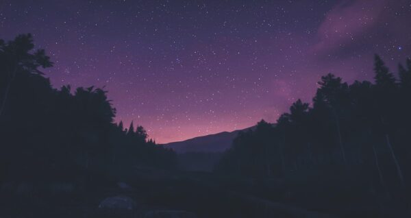 Get Coins NFT: Redefining Digital Asset Liquidity