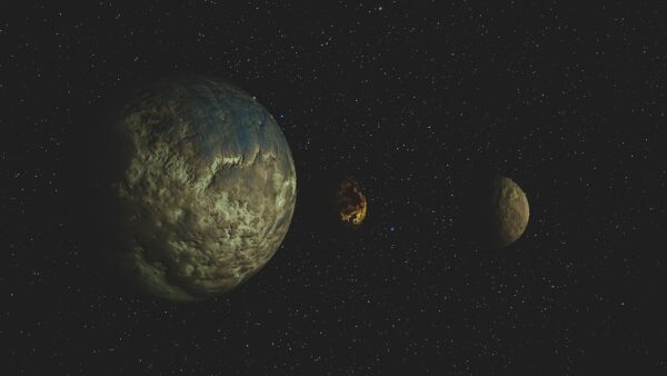 Beyond The Hype: NFT Collections And Enduring Value