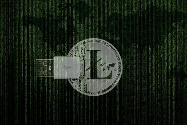 Beyond Bitcoin: Securing Your Diverse Altcoin Portfolio